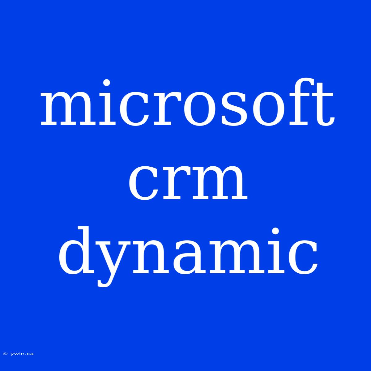 Microsoft Crm Dynamic