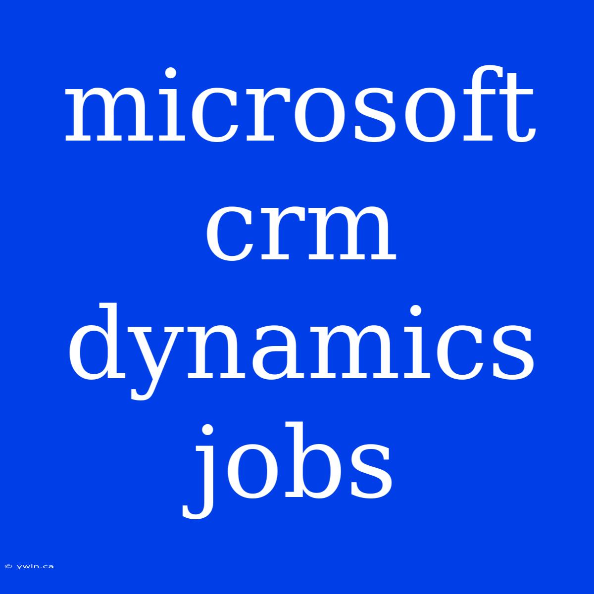 Microsoft Crm Dynamics Jobs