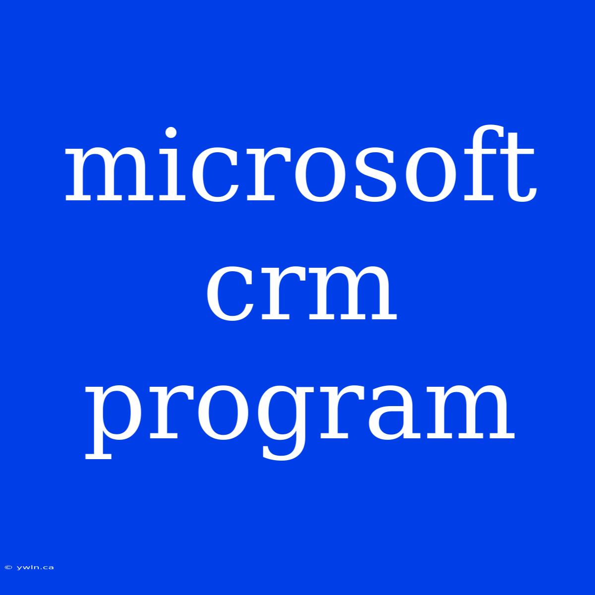 Microsoft Crm Program