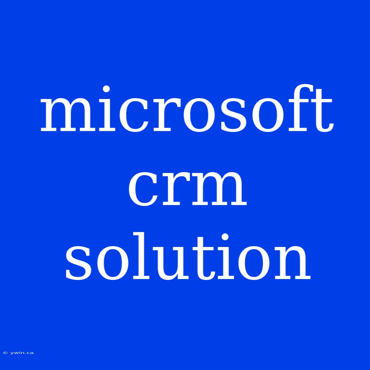 Microsoft Crm Solution