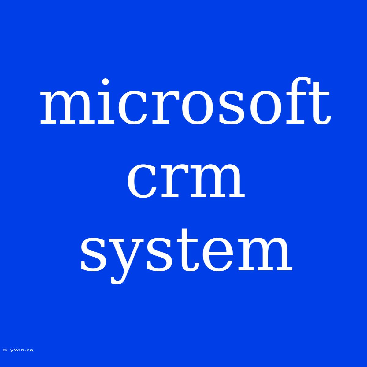 Microsoft Crm System