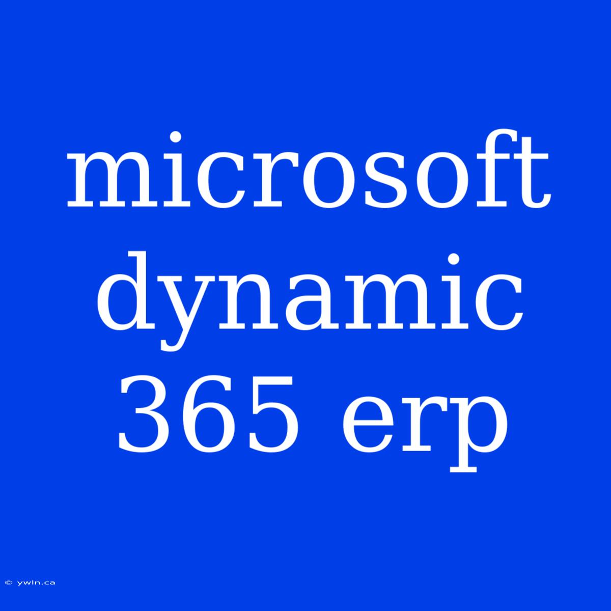 Microsoft Dynamic 365 Erp