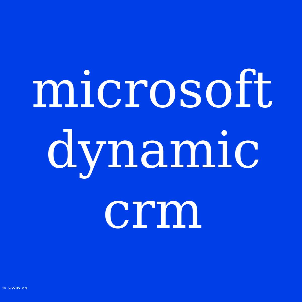 Microsoft Dynamic Crm