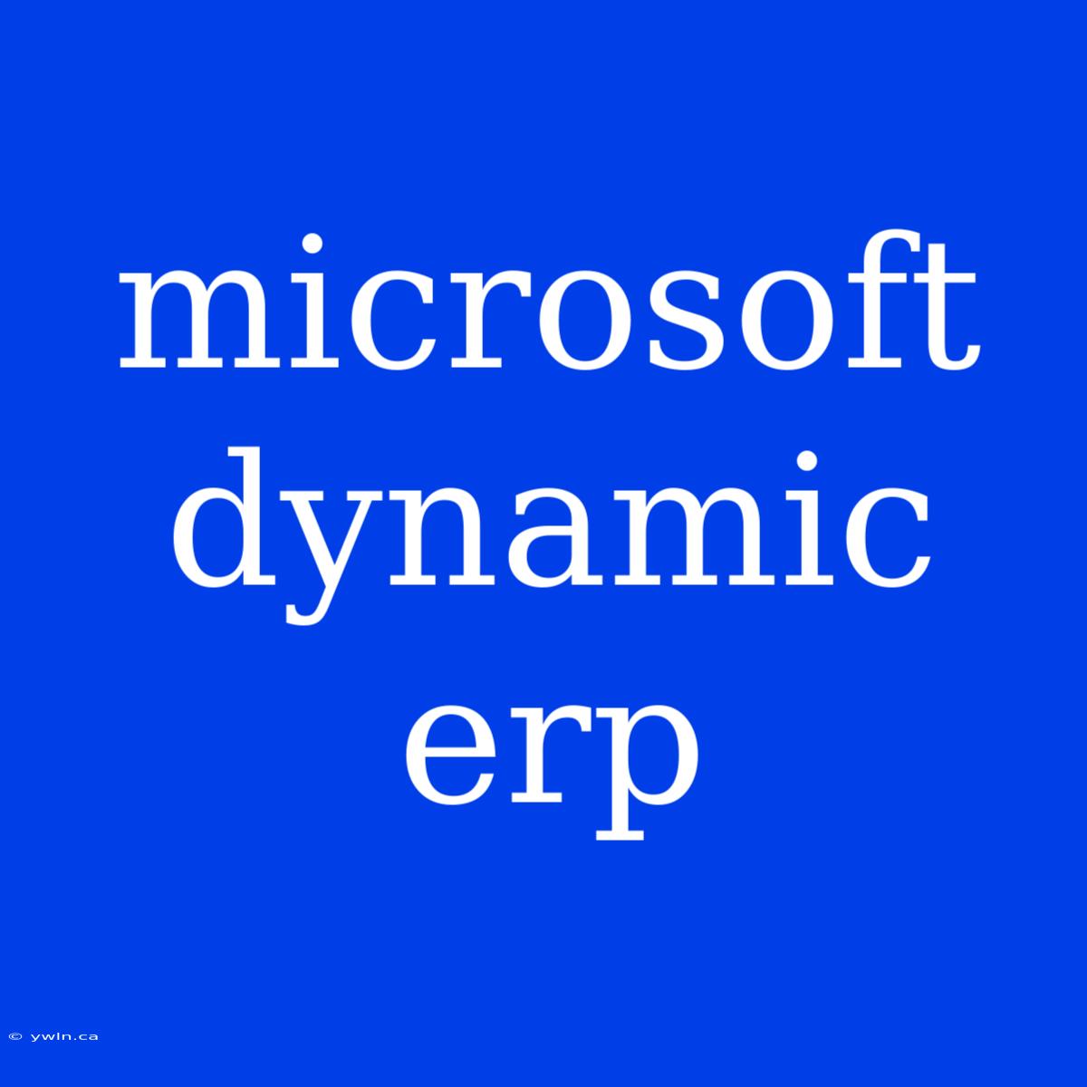 Microsoft Dynamic Erp