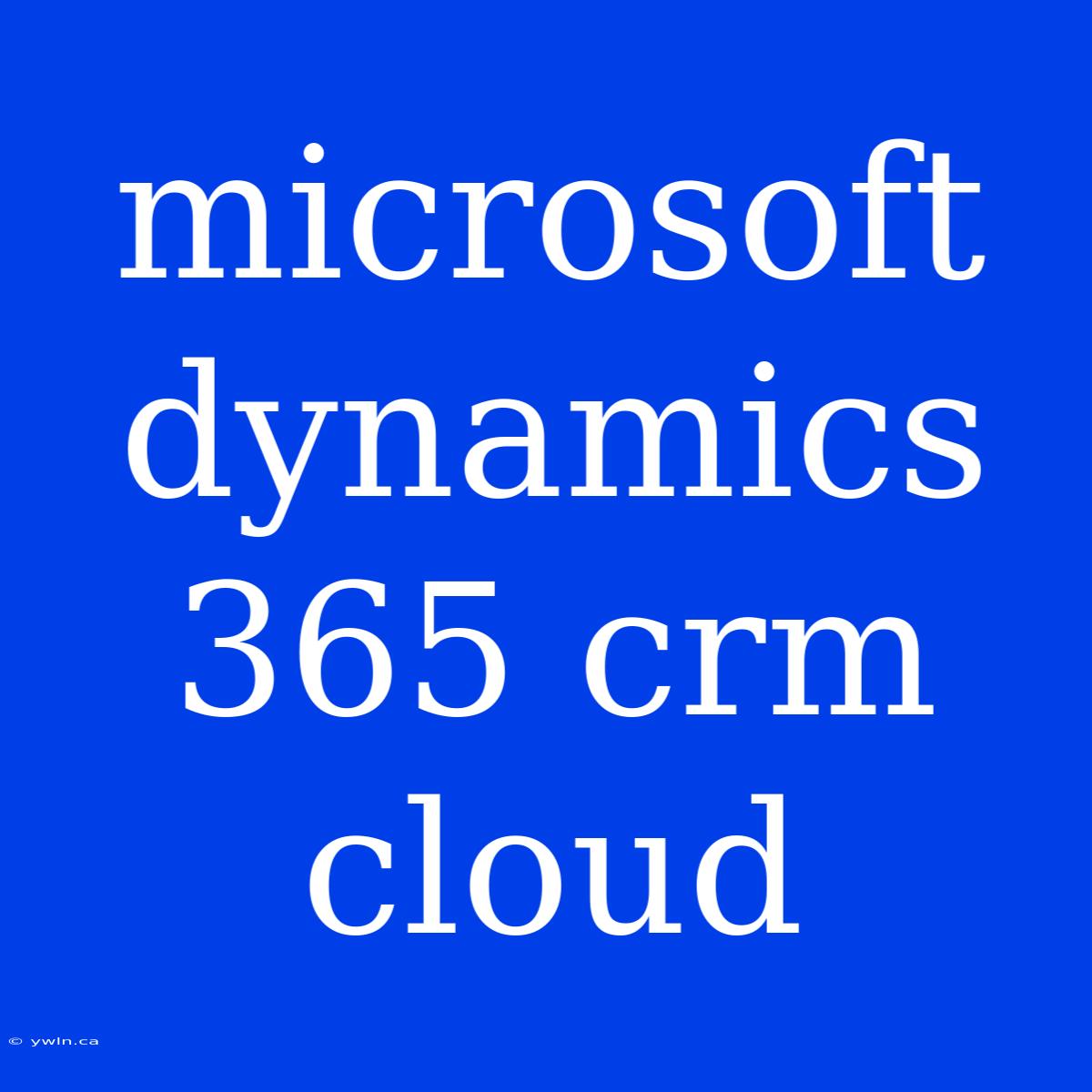 Microsoft Dynamics 365 Crm Cloud