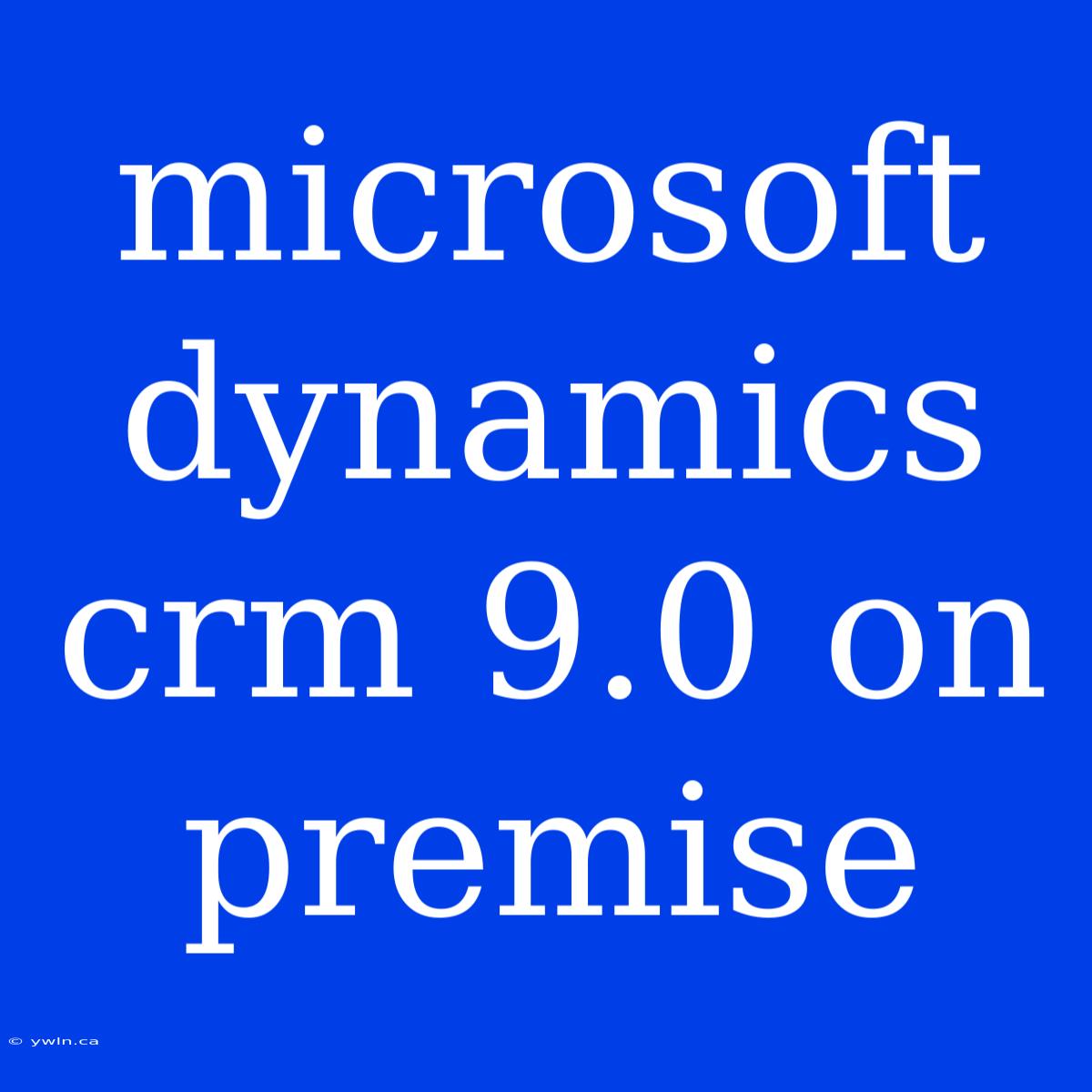 Microsoft Dynamics Crm 9.0 On Premise