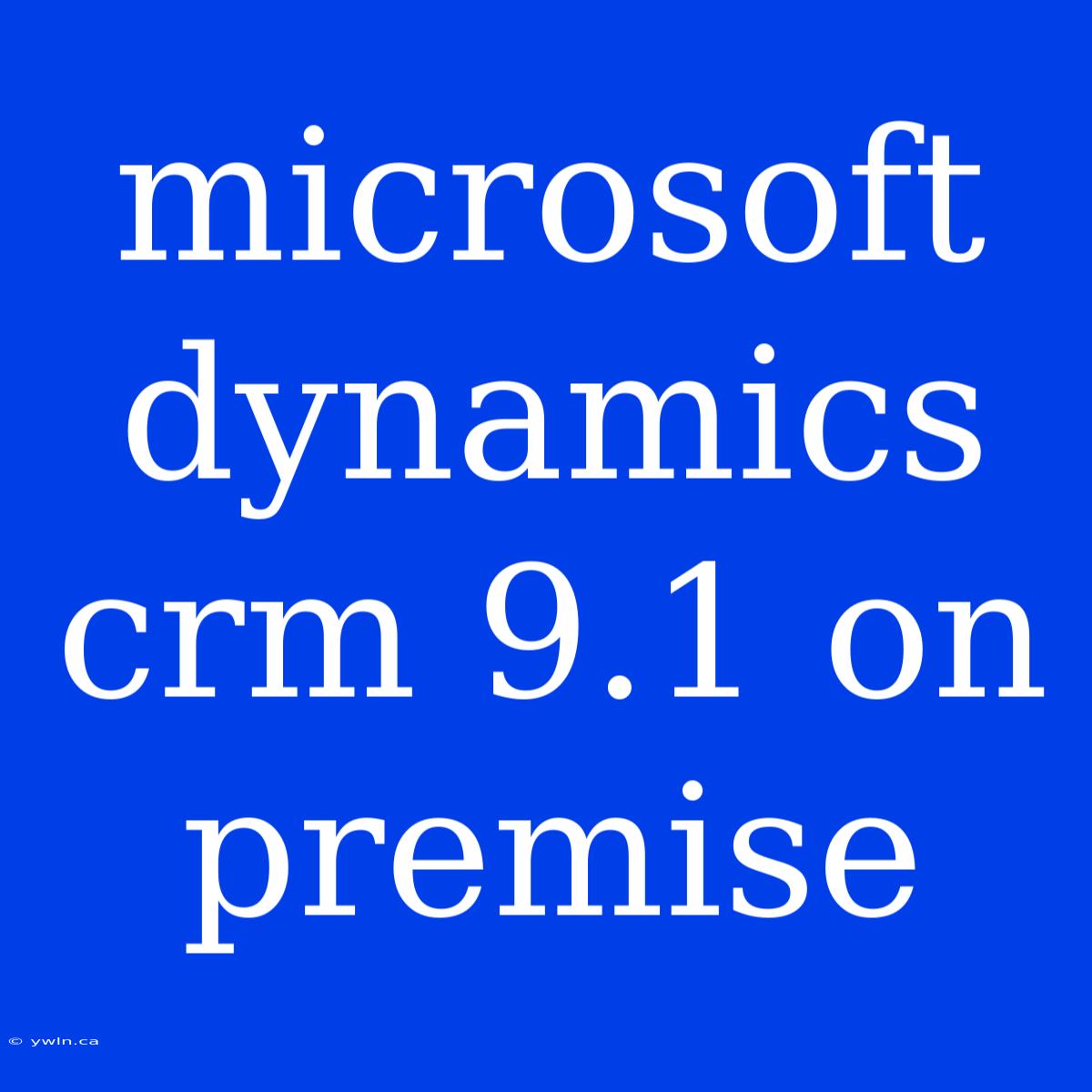 Microsoft Dynamics Crm 9.1 On Premise