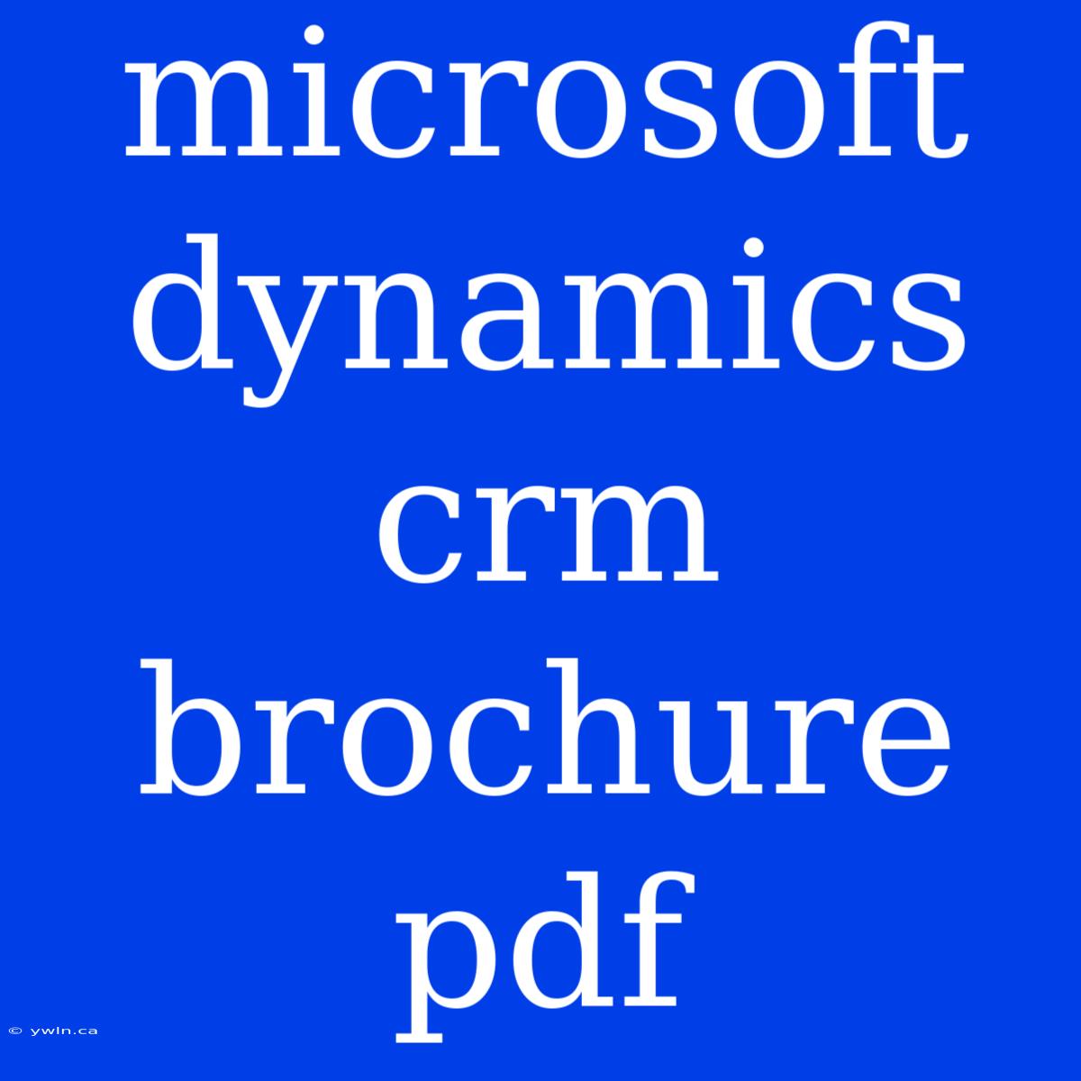 Microsoft Dynamics Crm Brochure Pdf