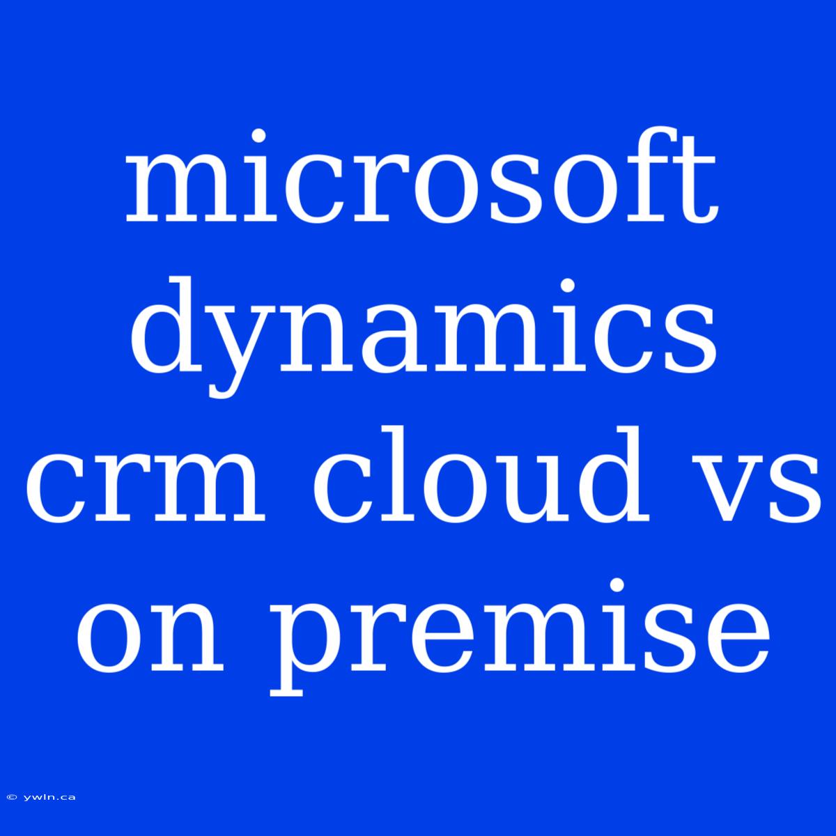 Microsoft Dynamics Crm Cloud Vs On Premise