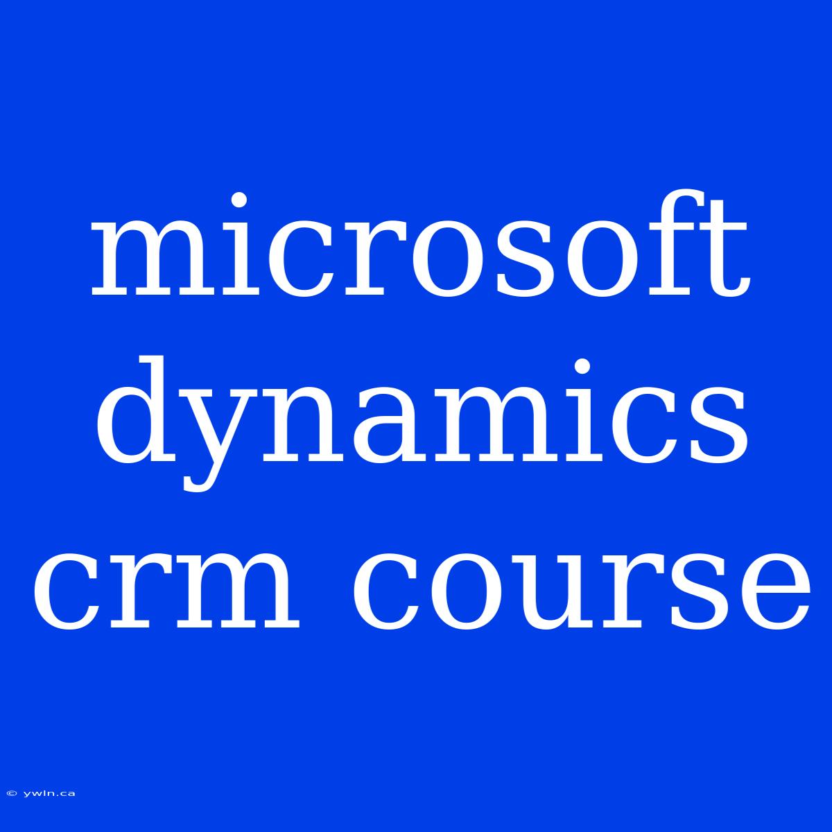 Microsoft Dynamics Crm Course