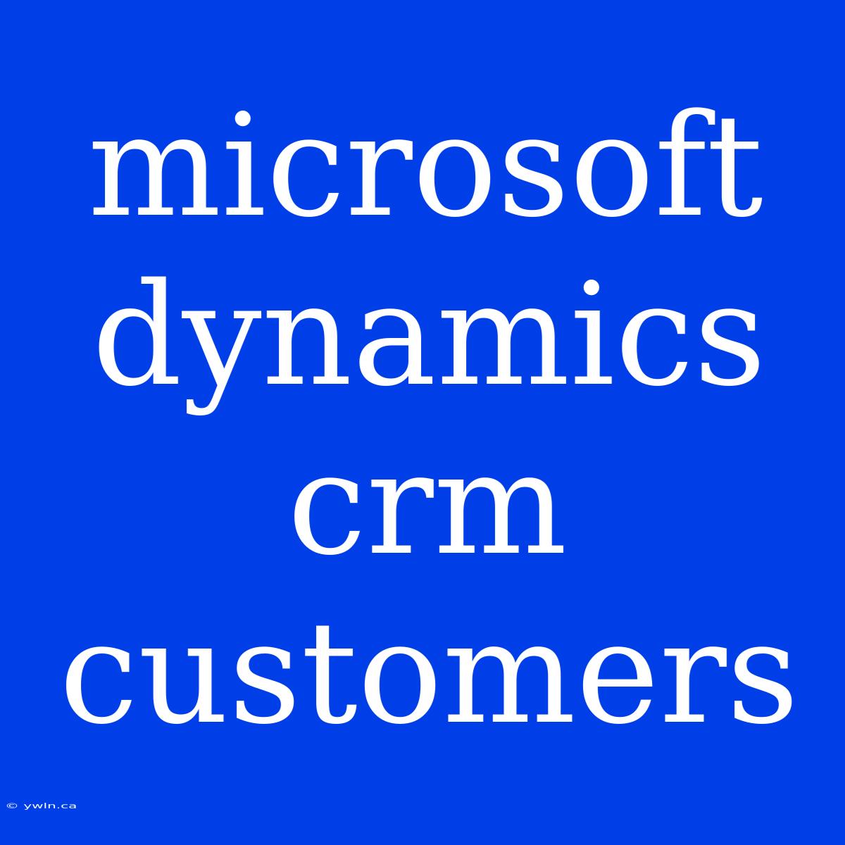 Microsoft Dynamics Crm Customers