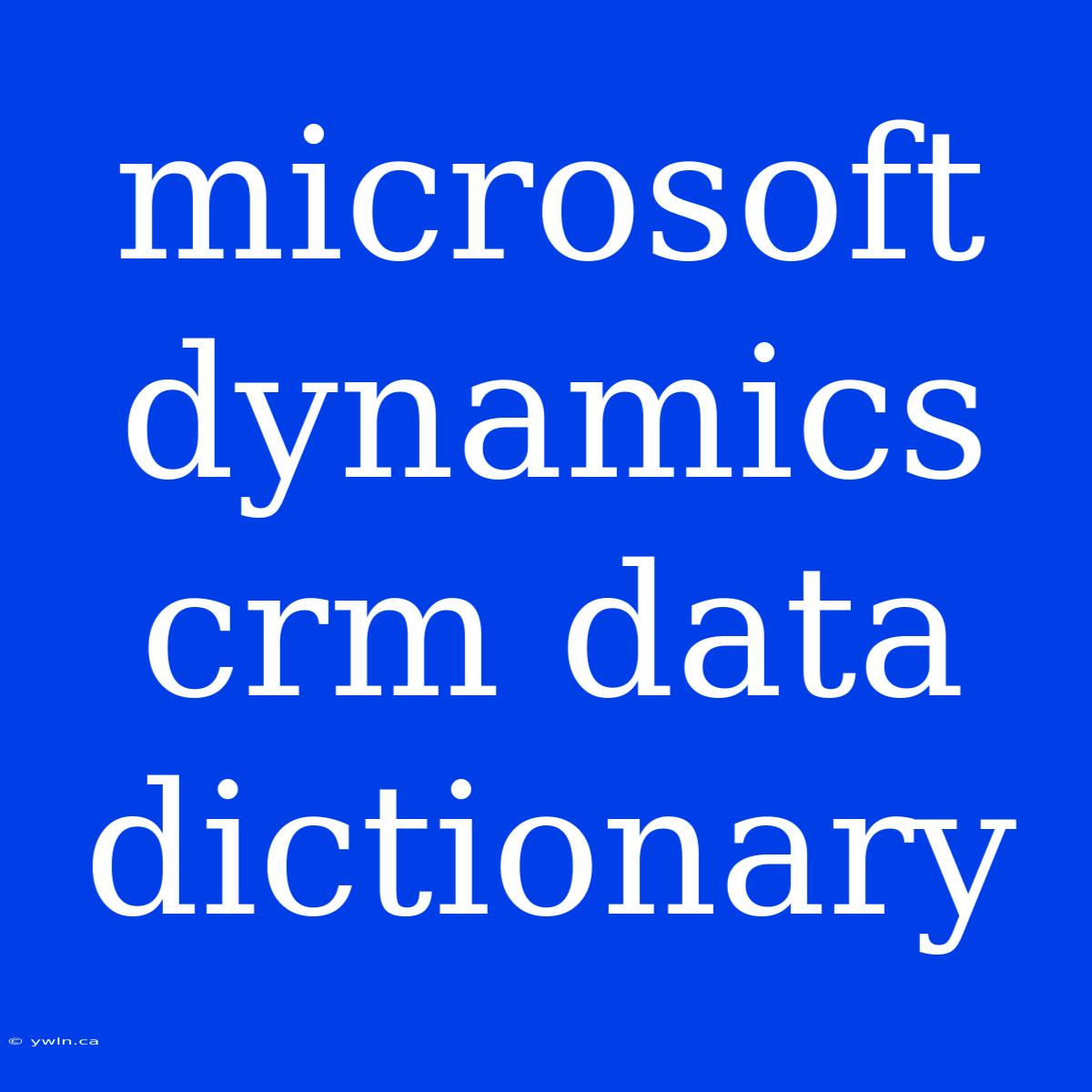 Microsoft Dynamics Crm Data Dictionary