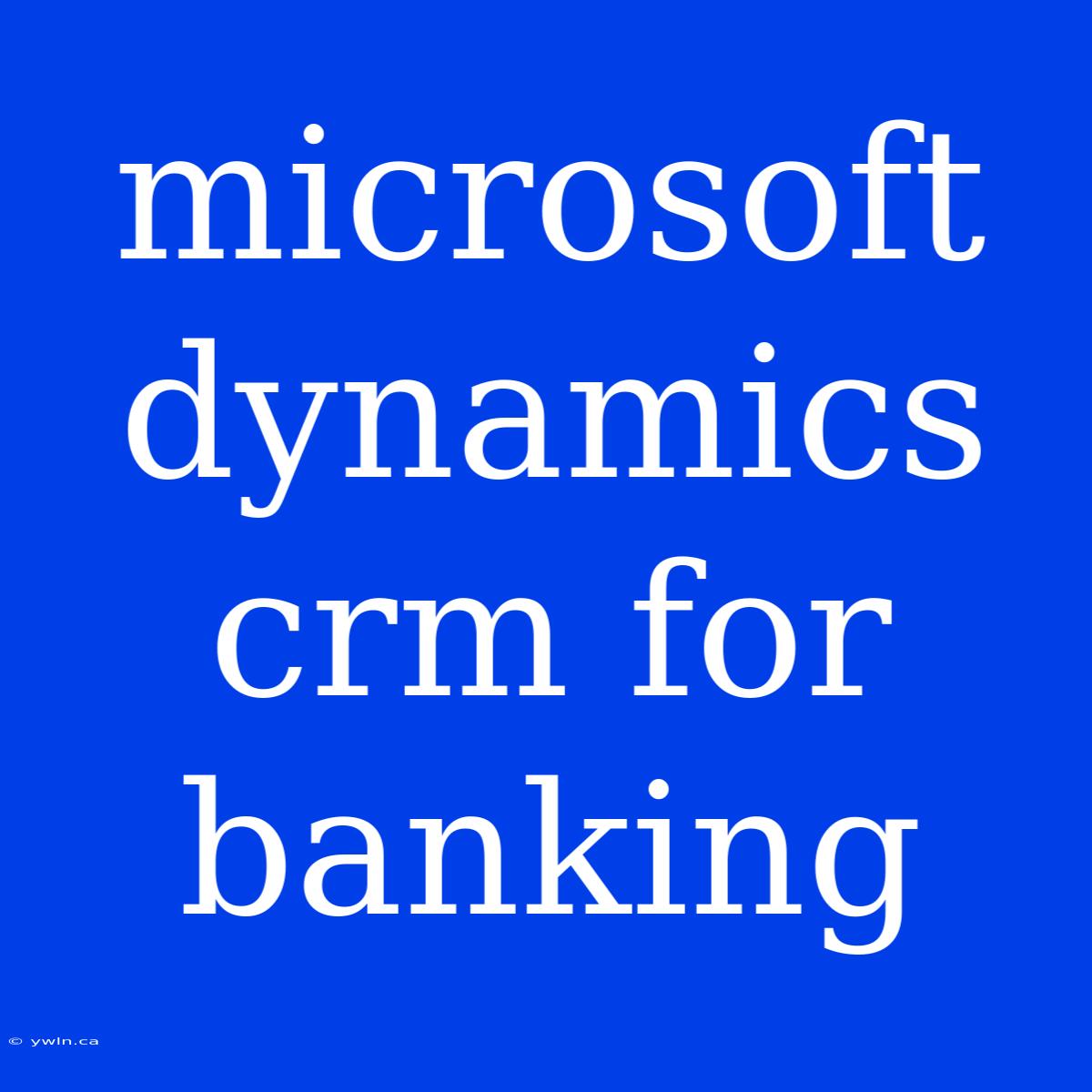 Microsoft Dynamics Crm For Banking