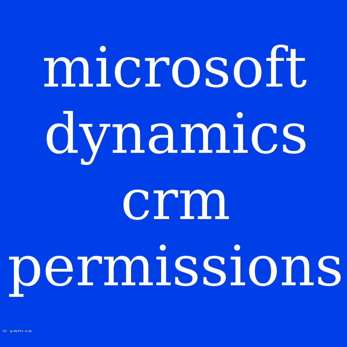 Microsoft Dynamics Crm Permissions