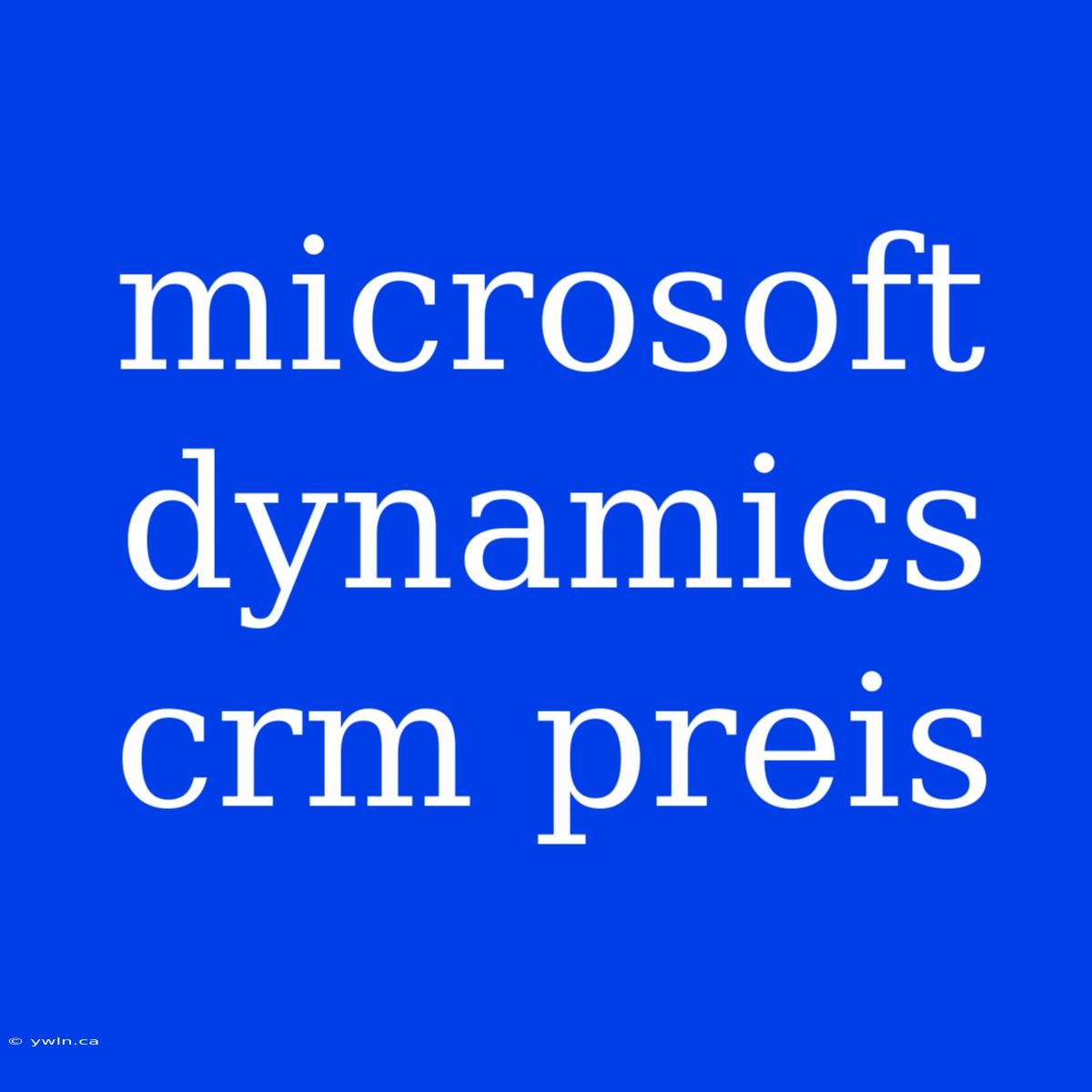 Microsoft Dynamics Crm Preis