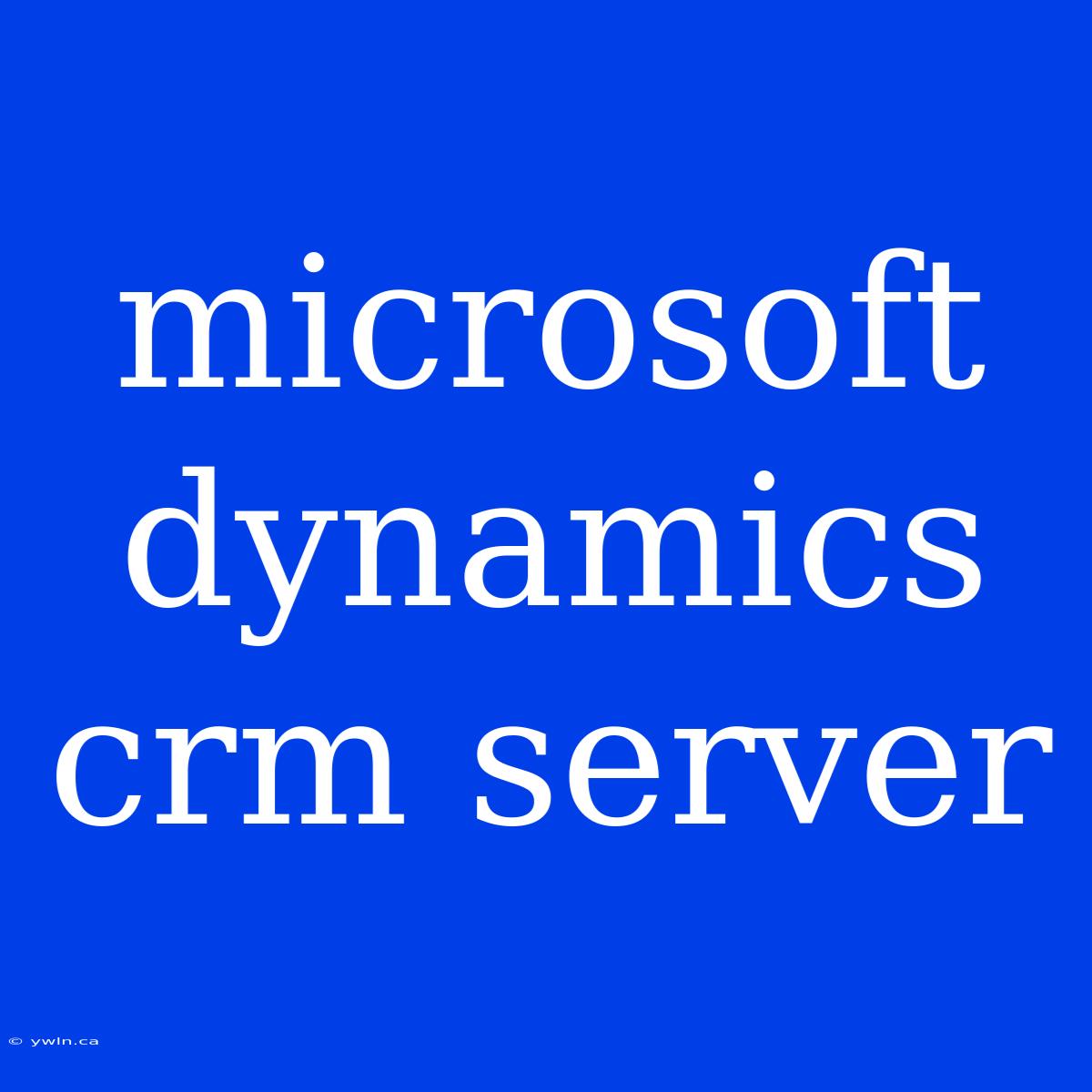 Microsoft Dynamics Crm Server