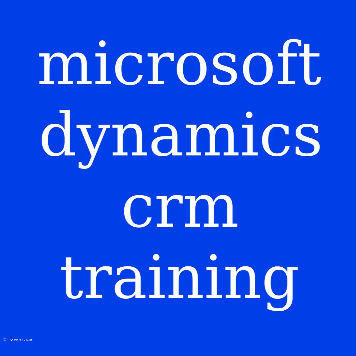 Microsoft Dynamics Crm Training