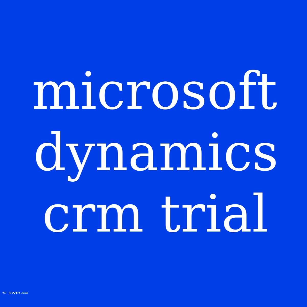 Microsoft Dynamics Crm Trial