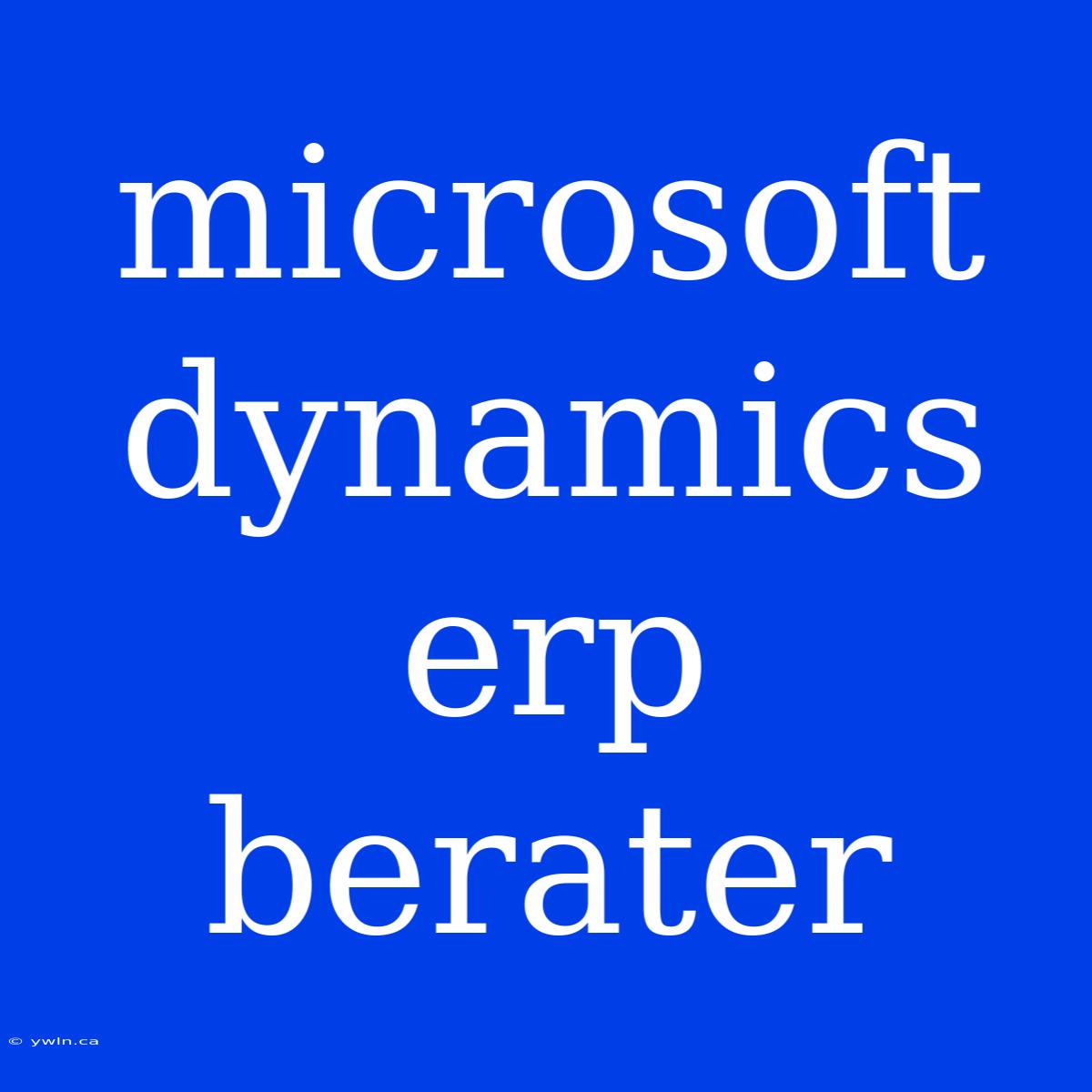 Microsoft Dynamics Erp Berater