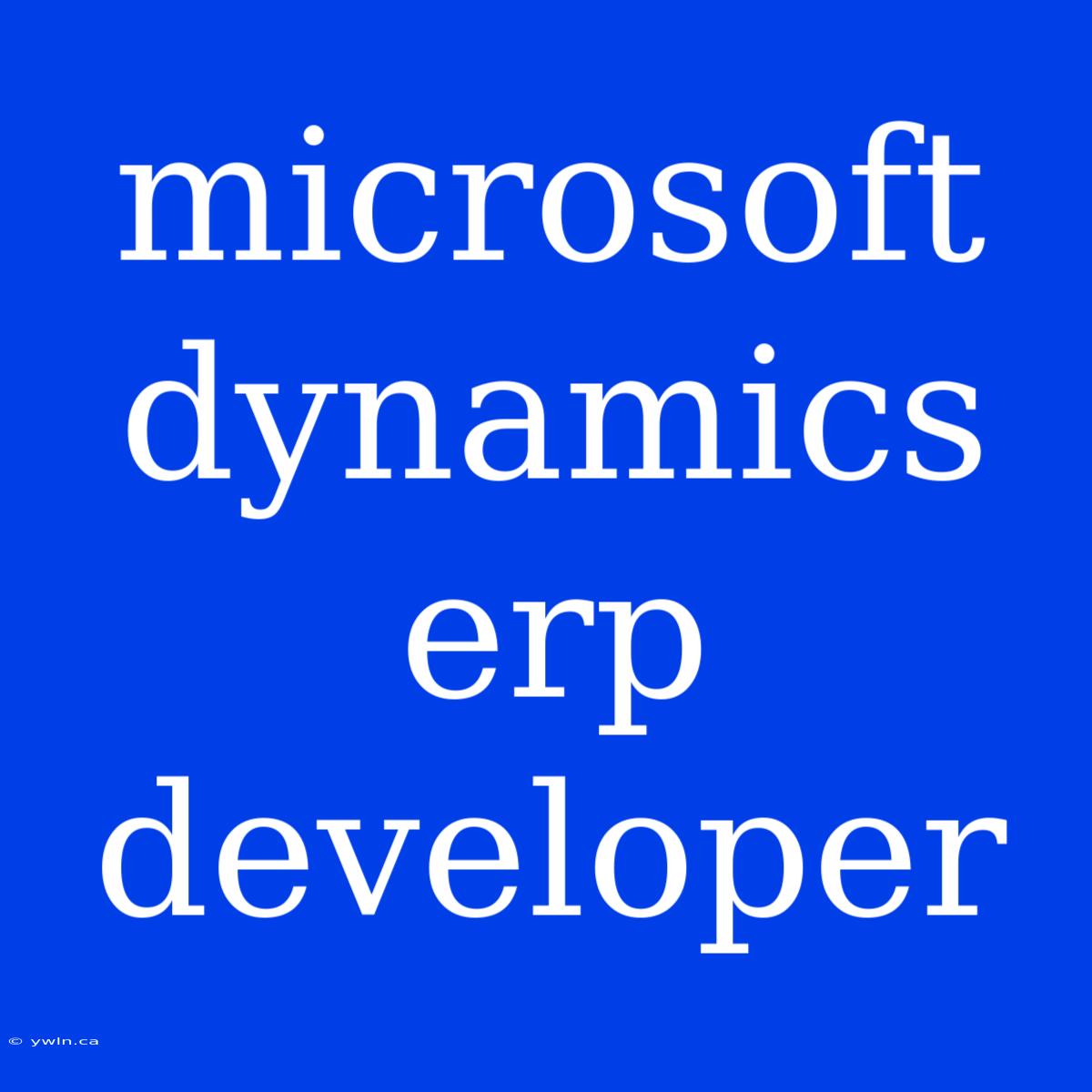 Microsoft Dynamics Erp Developer