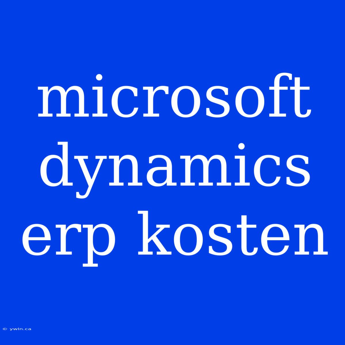 Microsoft Dynamics Erp Kosten