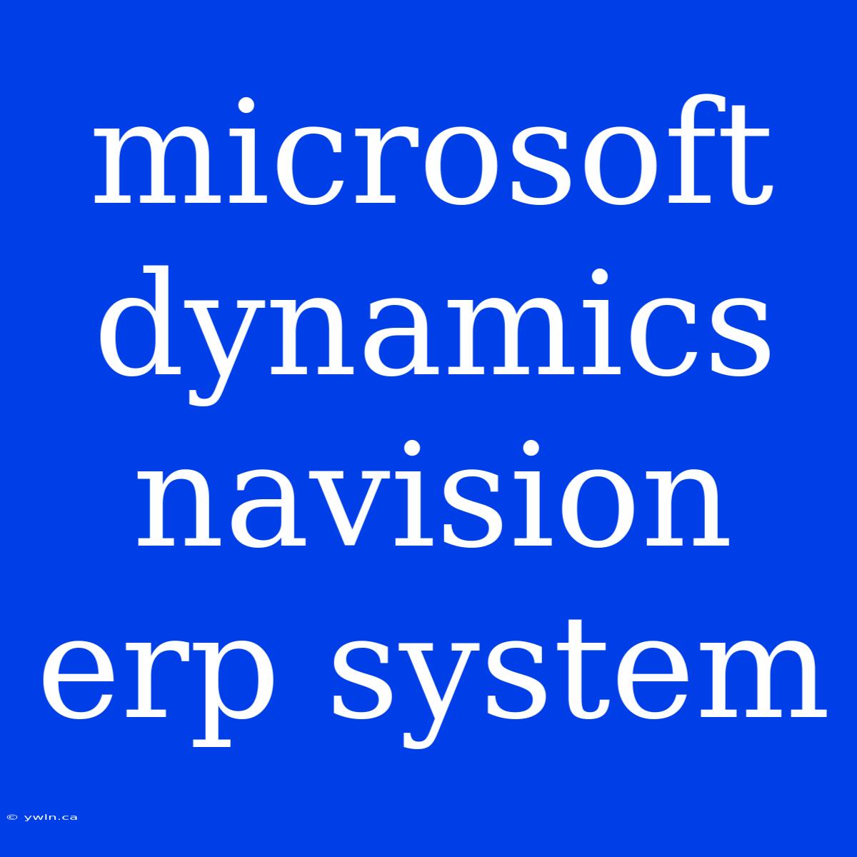 Microsoft Dynamics Navision Erp System