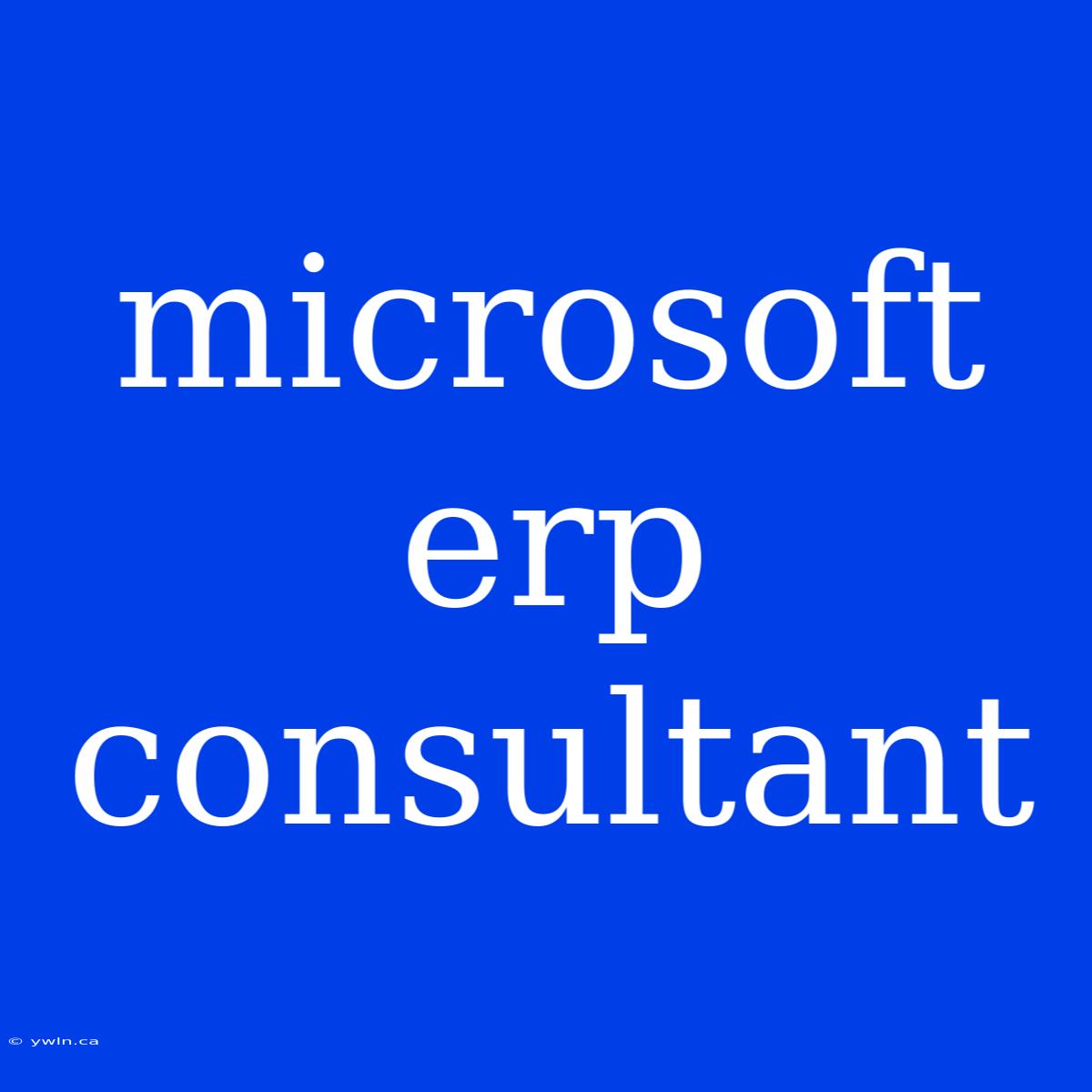 Microsoft Erp Consultant