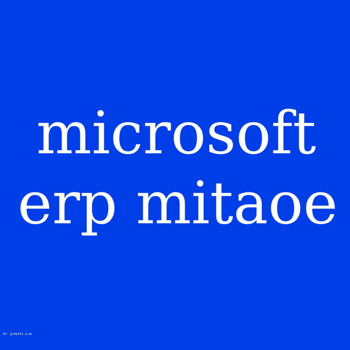 Microsoft Erp Mitaoe