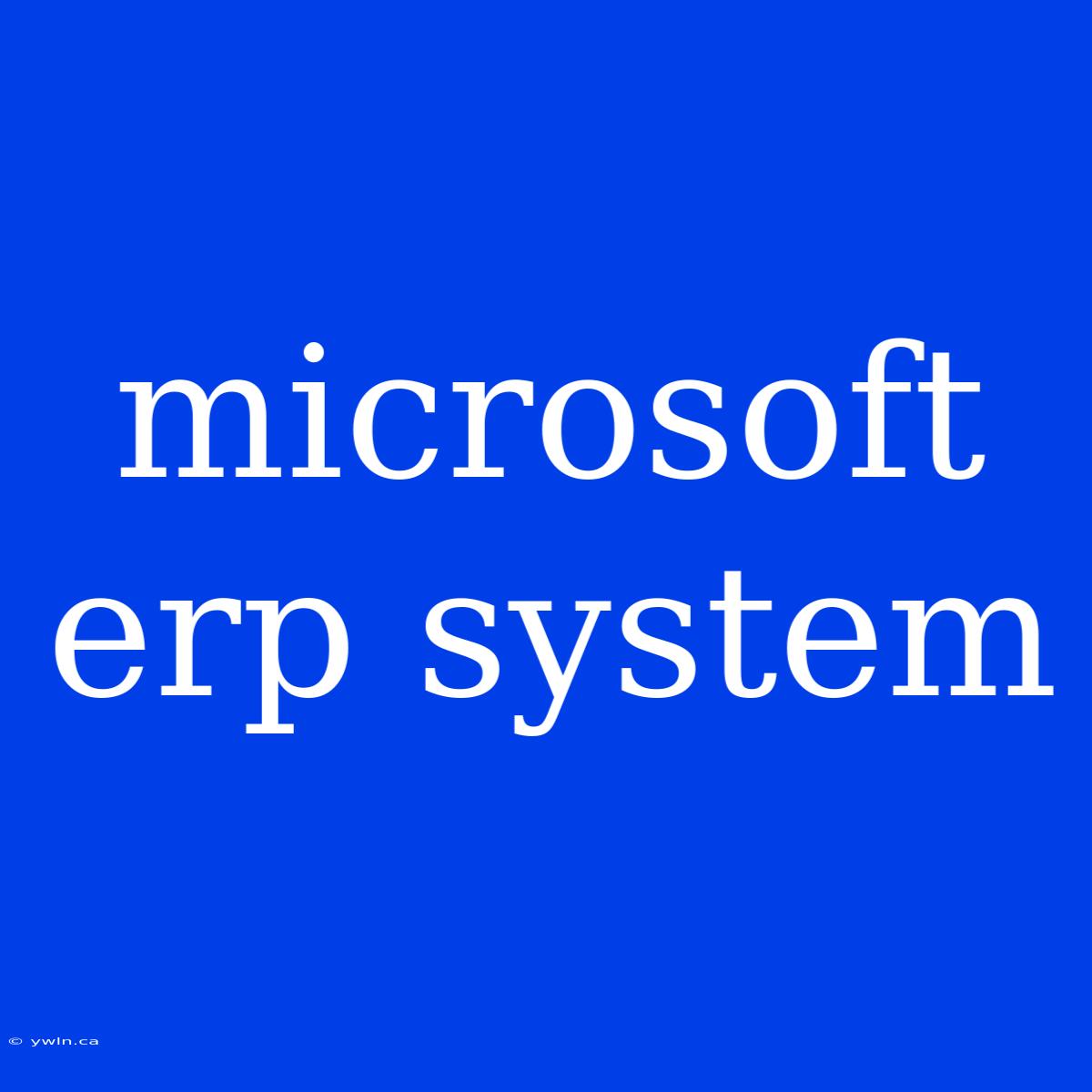 Microsoft Erp System