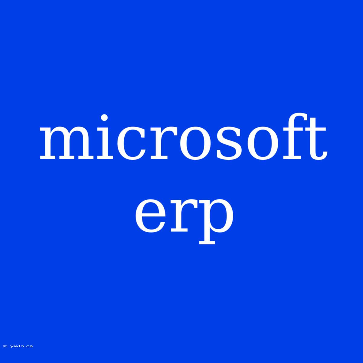 Microsoft Erp