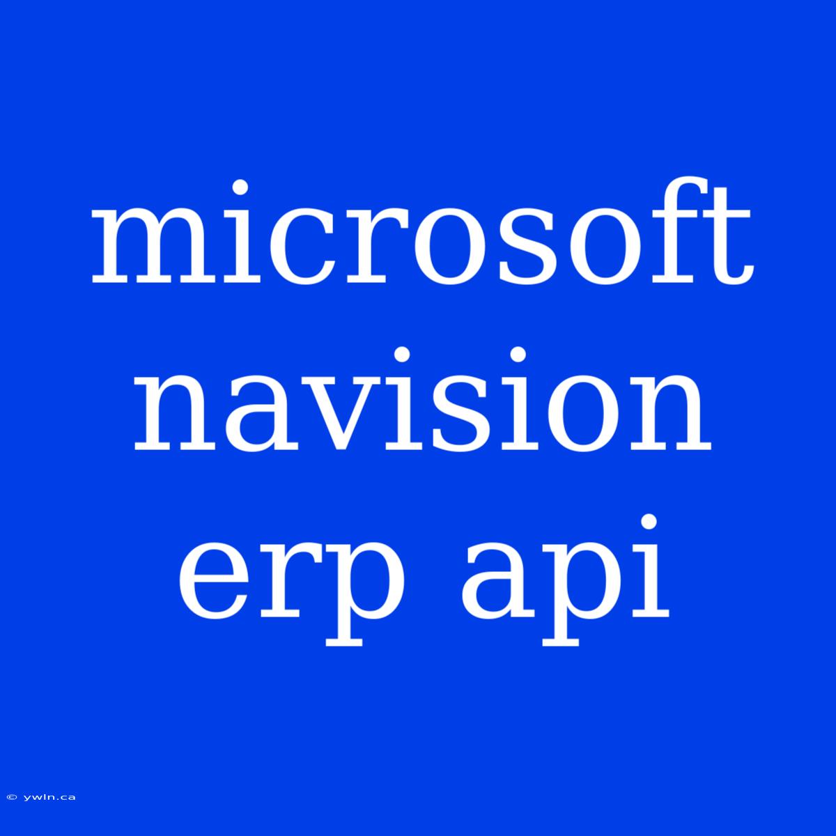 Microsoft Navision Erp Api