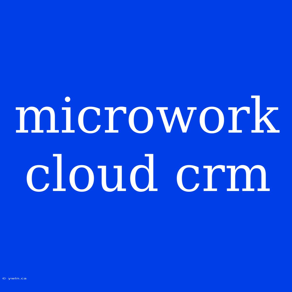 Microwork Cloud Crm