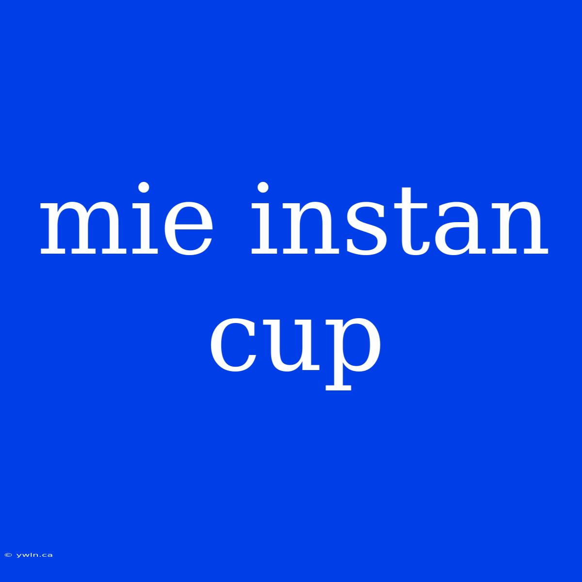 Mie Instan Cup