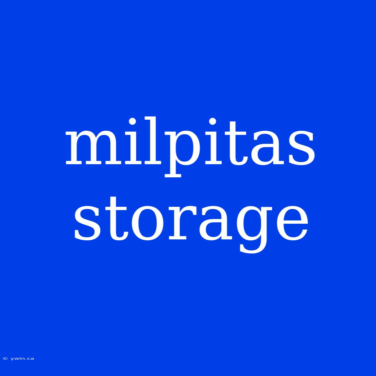 Milpitas Storage