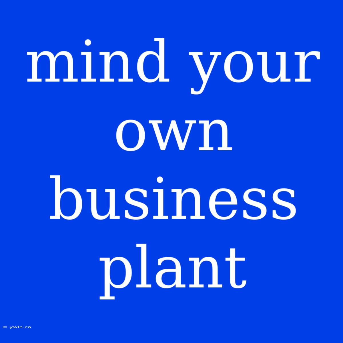 Mind Your Own Business Plant