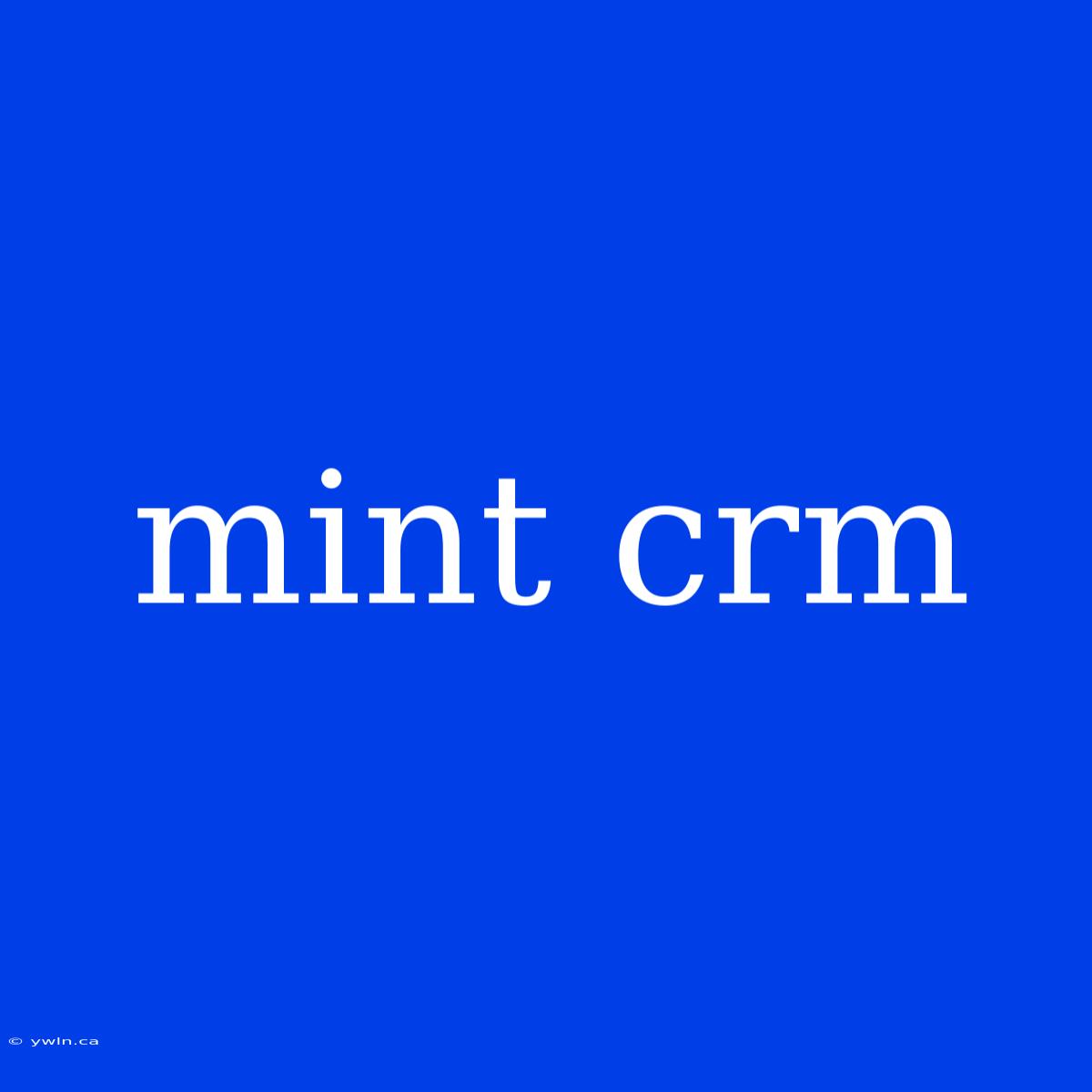 Mint Crm