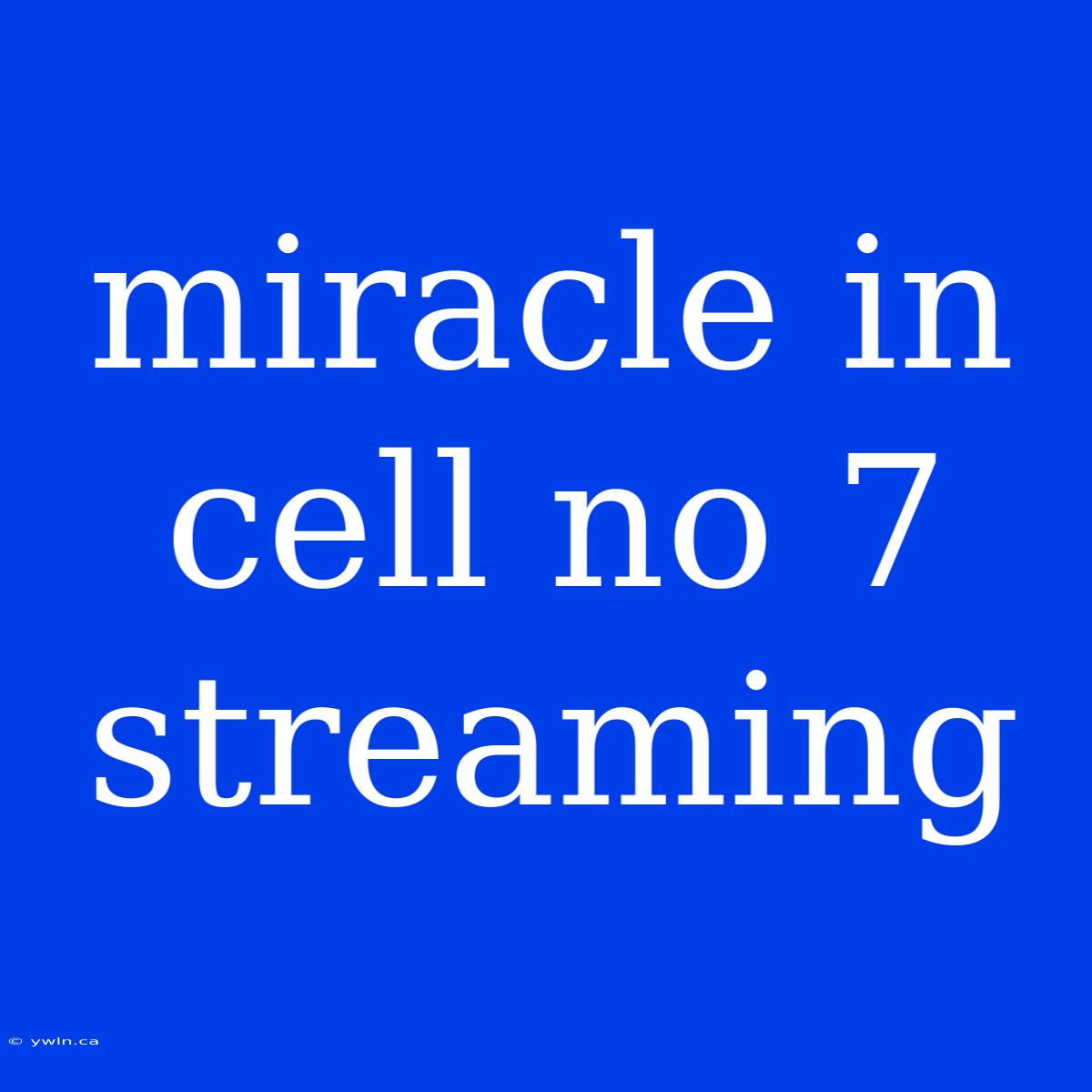 Miracle In Cell No 7 Streaming