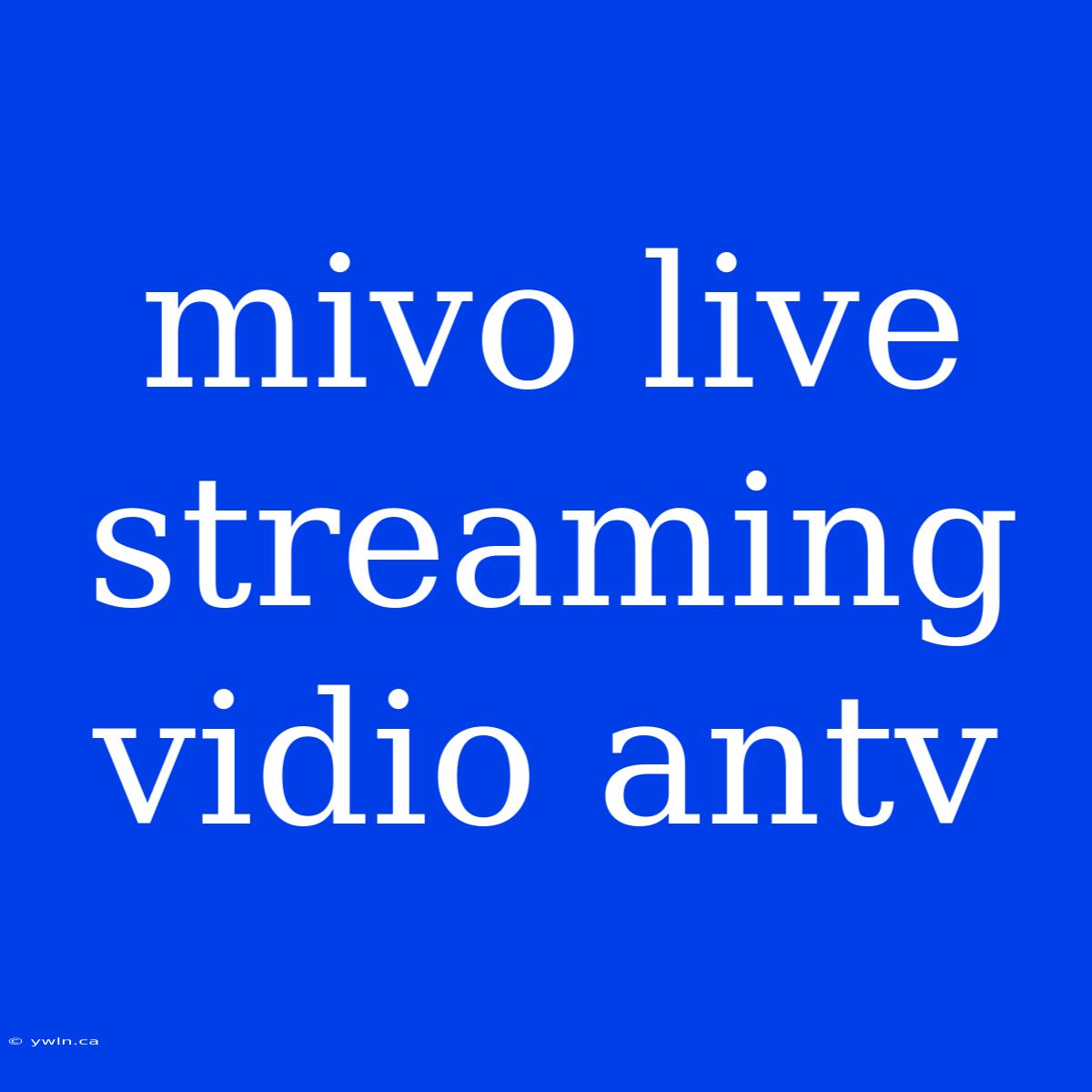 Mivo Live Streaming Vidio Antv