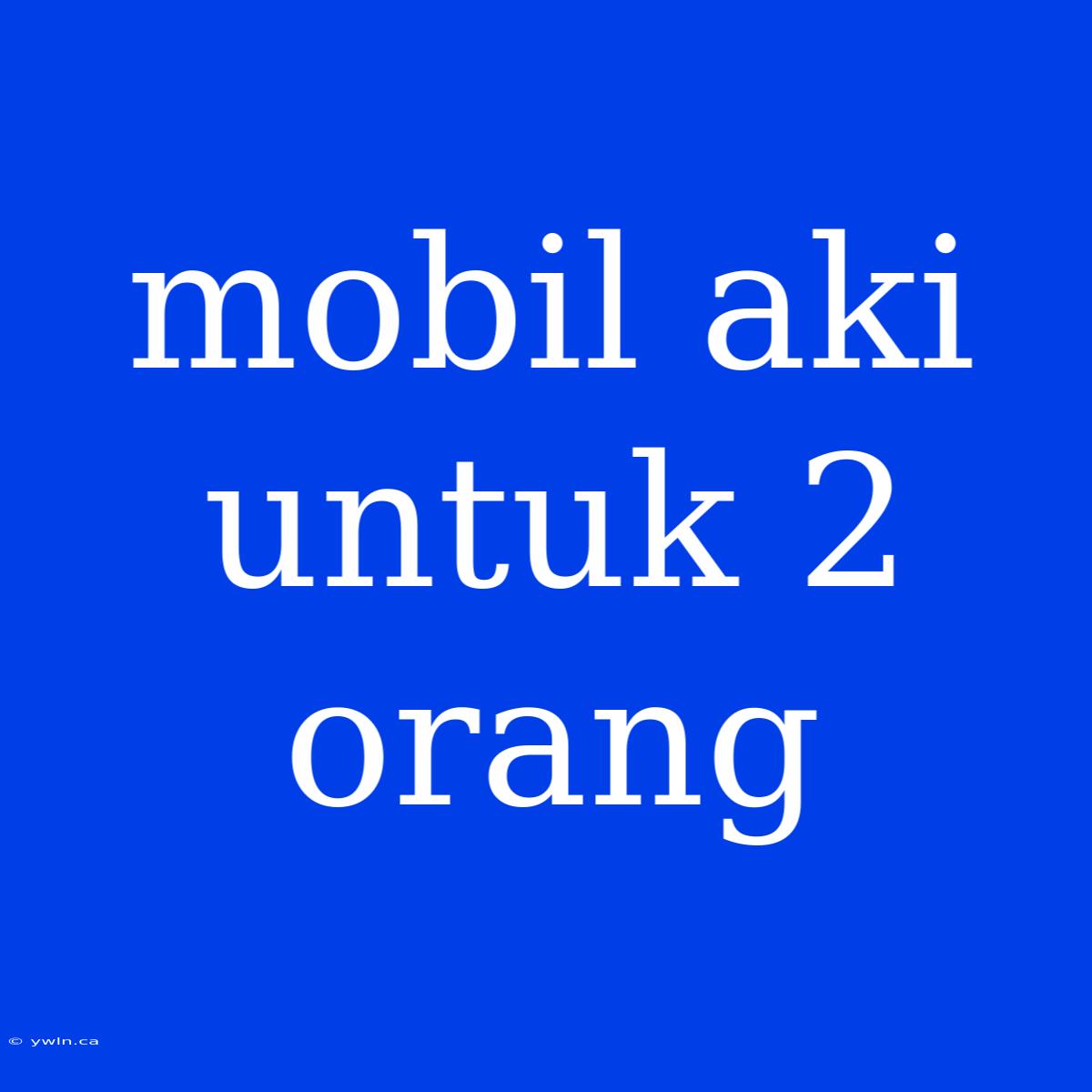 Mobil Aki Untuk 2 Orang