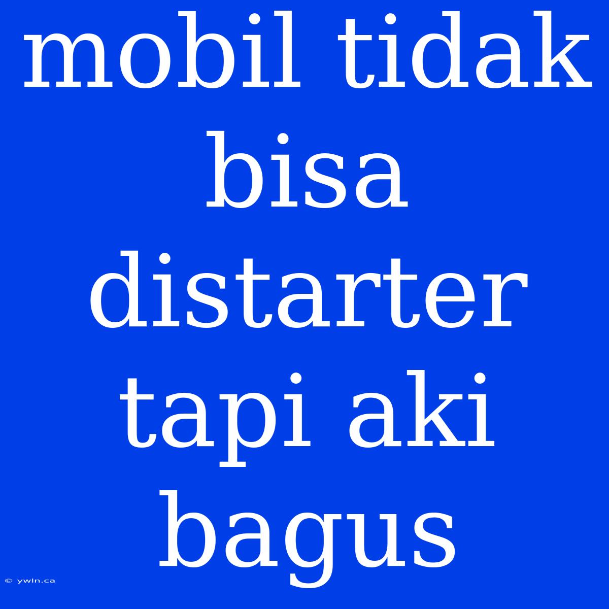 Mobil Tidak Bisa Distarter Tapi Aki Bagus