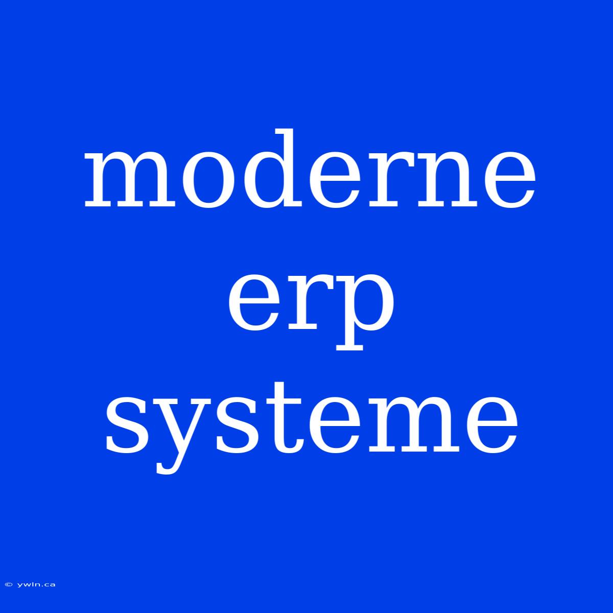 Moderne Erp Systeme