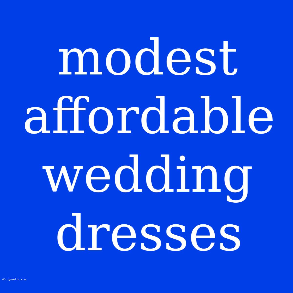 Modest Affordable Wedding Dresses