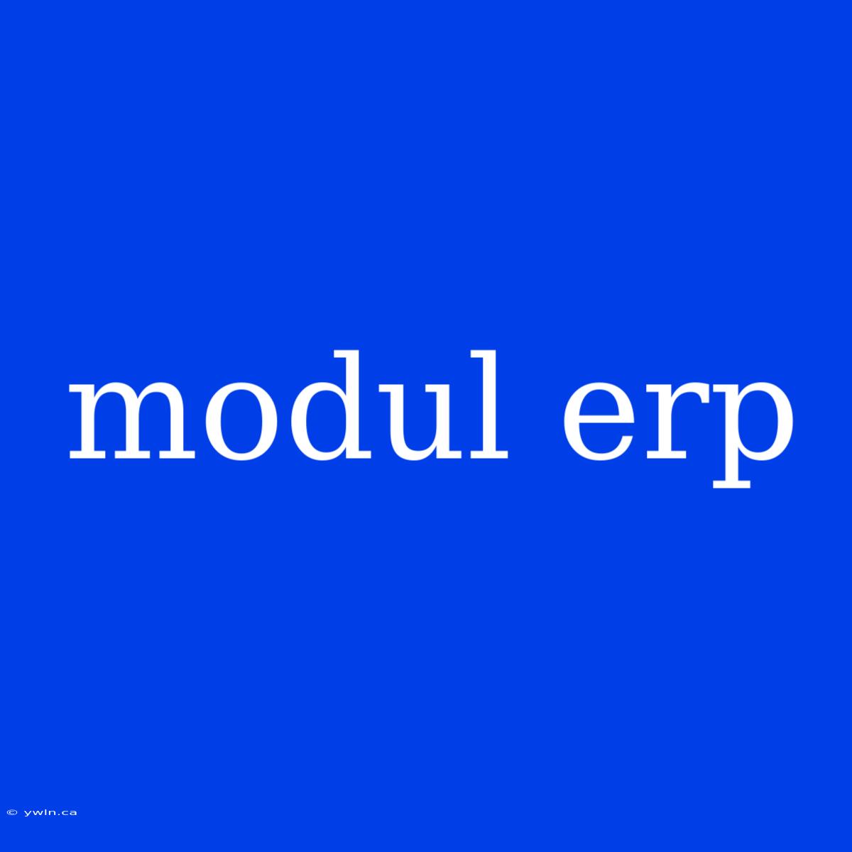 Modul Erp