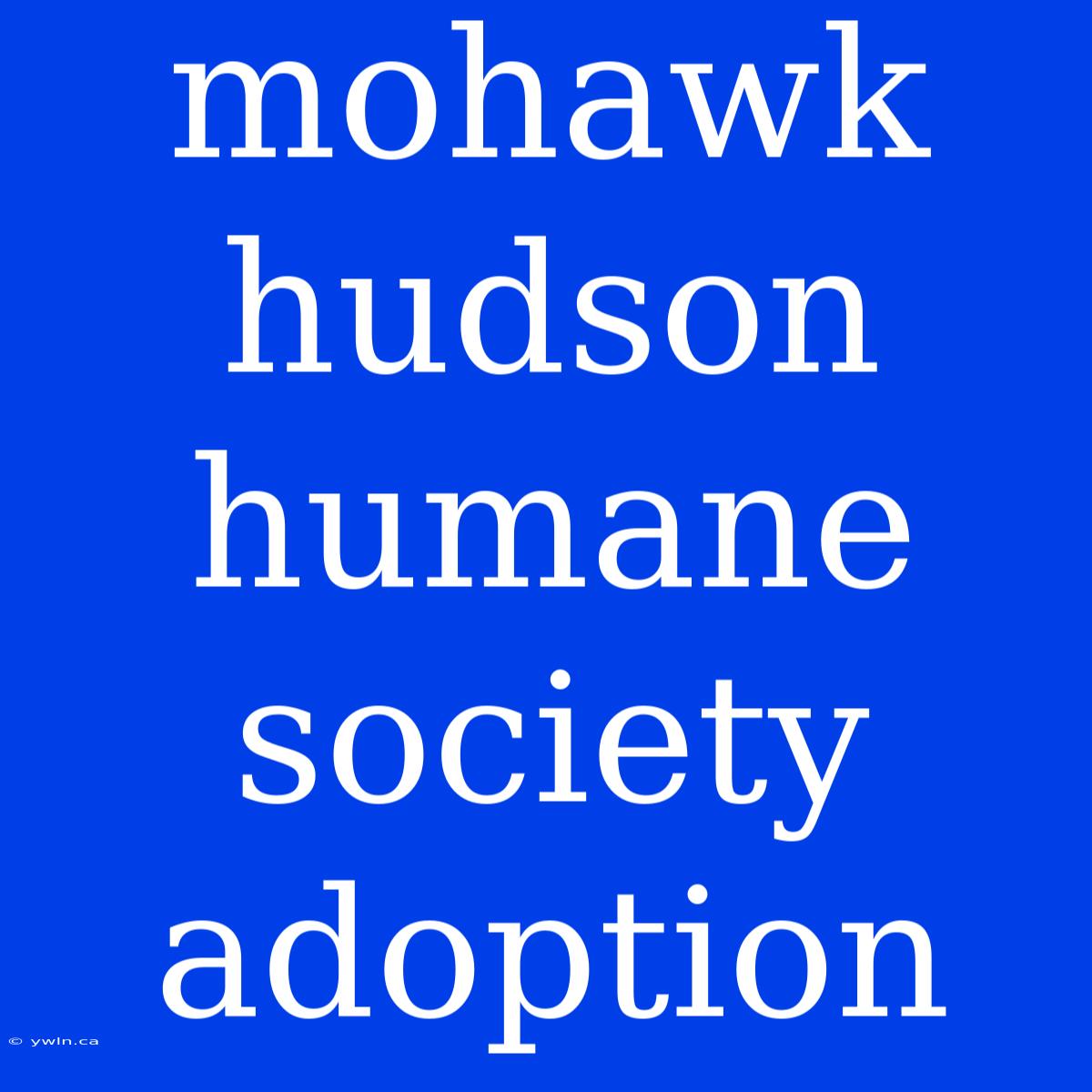 Mohawk Hudson Humane Society Adoption