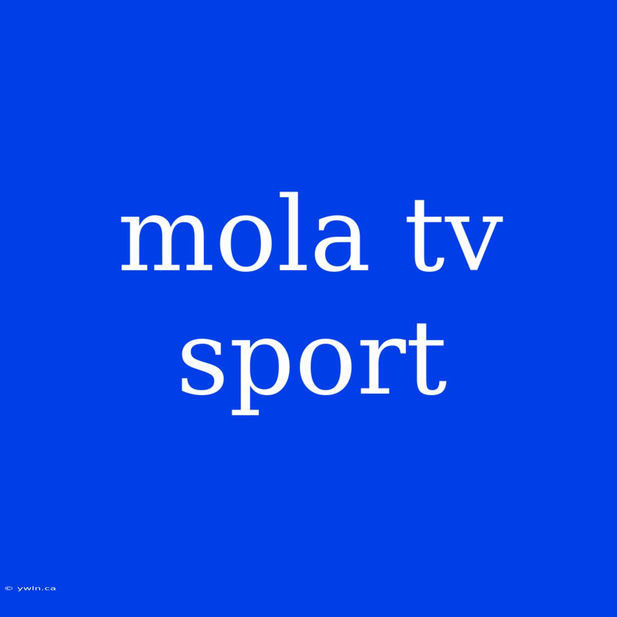 Mola Tv Sport