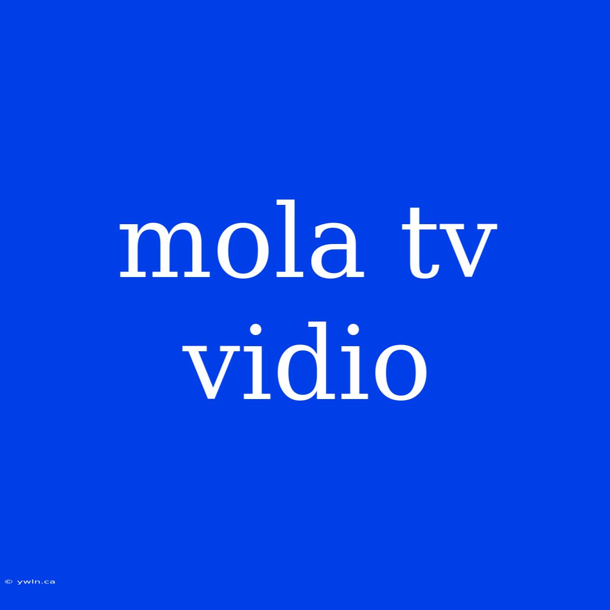 Mola Tv Vidio