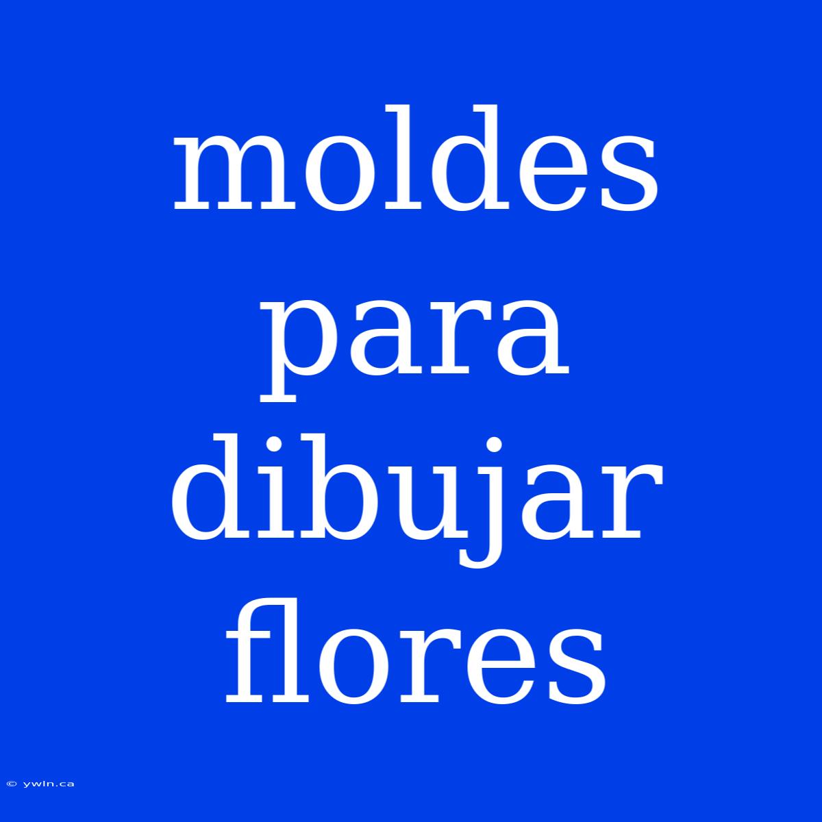 Moldes Para Dibujar Flores