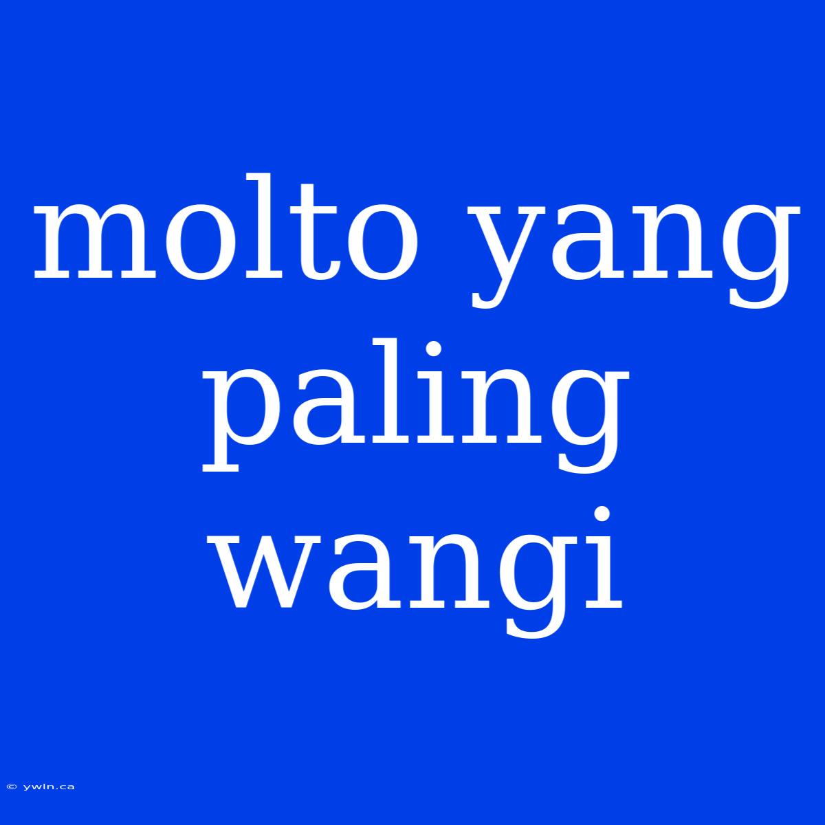 Molto Yang Paling Wangi