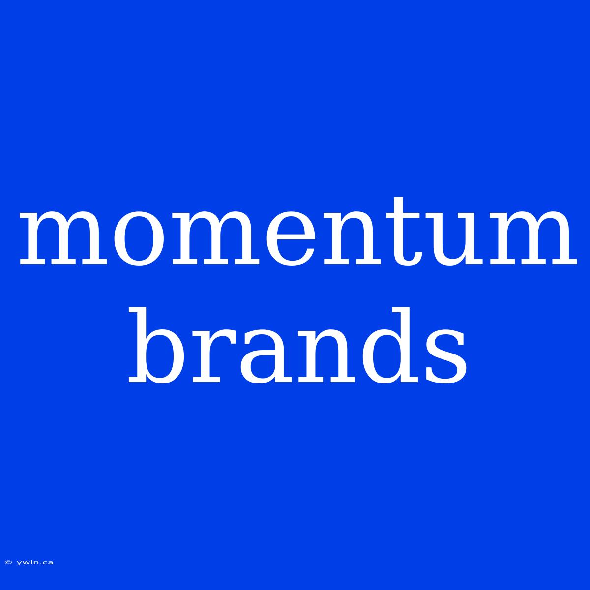 Momentum Brands