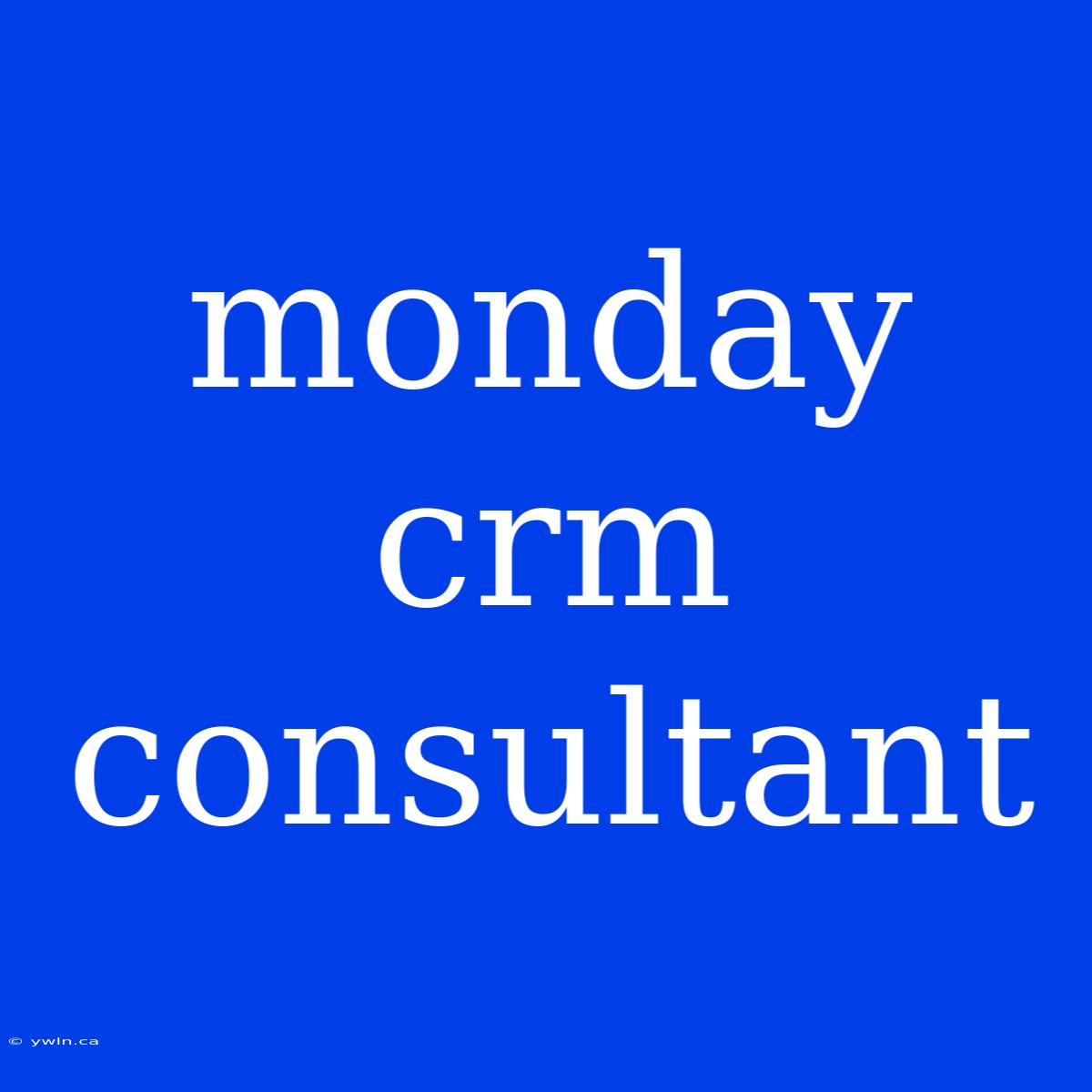 Monday Crm Consultant